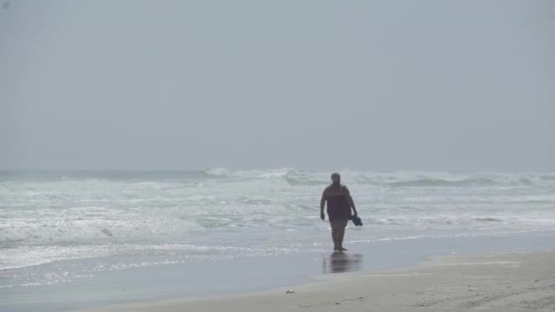 Μια σκηνή σε μια χαρακτηριστική παραλία Φλώριδα — Αρχείο Βίντεο