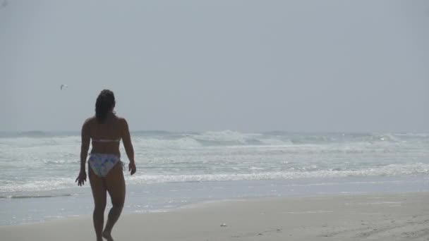 Uma cena em uma praia típica da Flórida — Vídeo de Stock