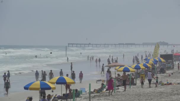 一个典型的佛罗里达海滩上的场景 — 图库视频影像