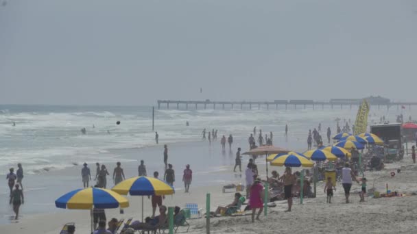 A scene on a typical Florida beach — Stock Video