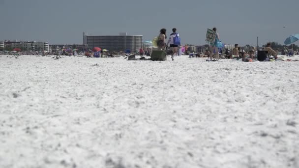 Una scena su una tipica spiaggia della Florida — Video Stock