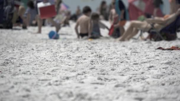 Una escena en una playa típica de Florida — Vídeos de Stock