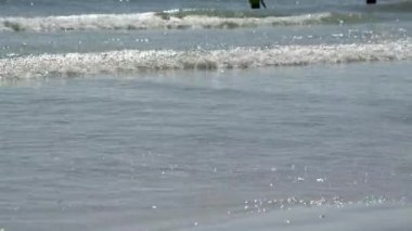 Florida plaj keyfi kişi sahne