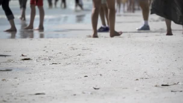 Scena di persone che si godono una spiaggia della Florida — Video Stock