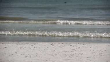 Florida sahilindeki insanların sahnesi