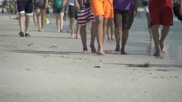 Scène de personnes profitant d'une plage de Floride — Video