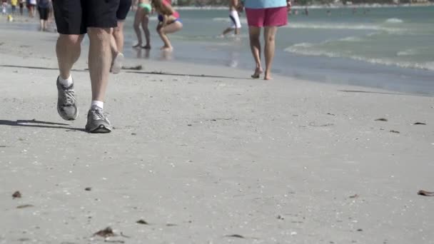 Cena de pessoas desfrutando de uma praia da Flórida — Vídeo de Stock