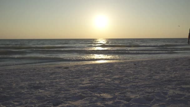 Una pareja disfruta de una playa romántica en un resort — Vídeo de stock