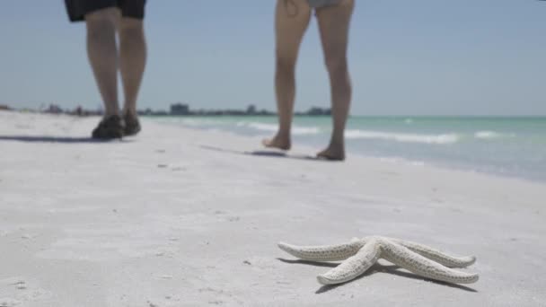 Uma estrela do mar na praia de uma bela estância de férias — Vídeo de Stock