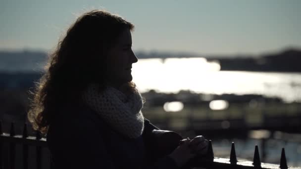 Eine schöne frau in der nähe von manhattan und der brooklyn bridge — Stockvideo