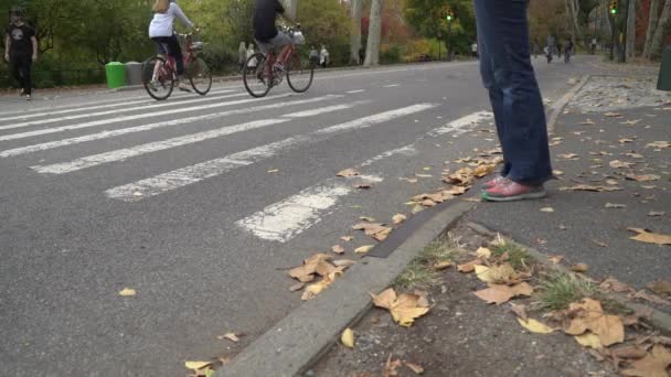 Люди ходят, бегают и катаются на велосипеде по Центральному парку — стоковое видео