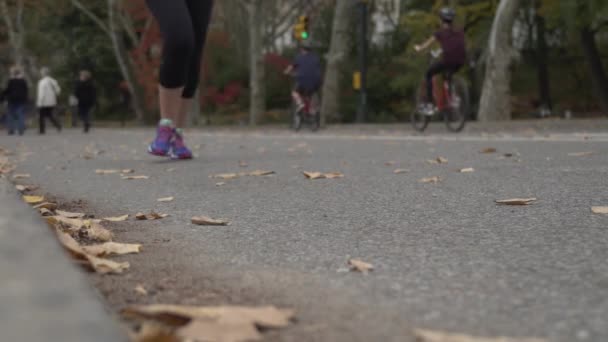 La gente camina, trota y anda en bicicleta por Central Park — Vídeo de stock