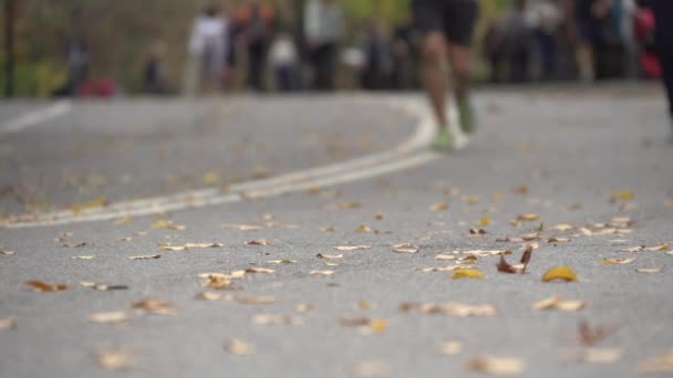 Persone a piedi, jogging e in bicicletta attraverso Central Park — Video Stock