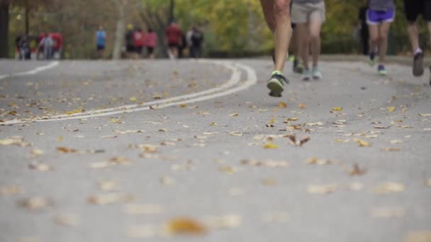Menschen laufen, joggen und radeln durch den Central Park — Stockvideo