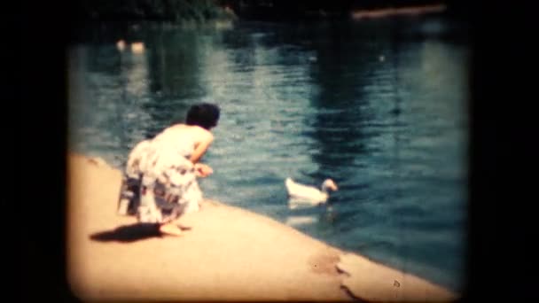Ansicht einer Frau, die Mitte der 1960er Jahre Vögel füttert — Stockvideo