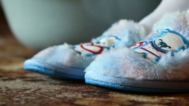 Comfortabele woning slippers met mooie blauwe beren — Stockvideo