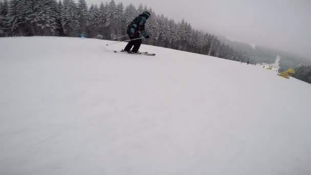 Un esquiador cabalga en invierno, una montaña cubierta de nieve en esquís — Vídeos de Stock