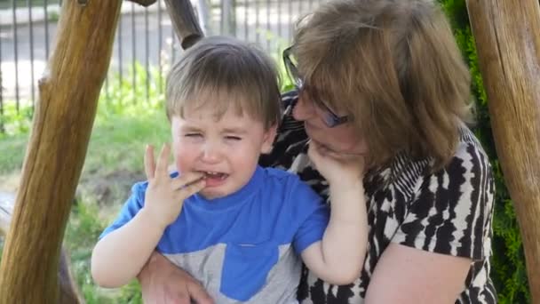 Grootmoeder en haar kleinzoon spelen op de speelplaats — Stockvideo