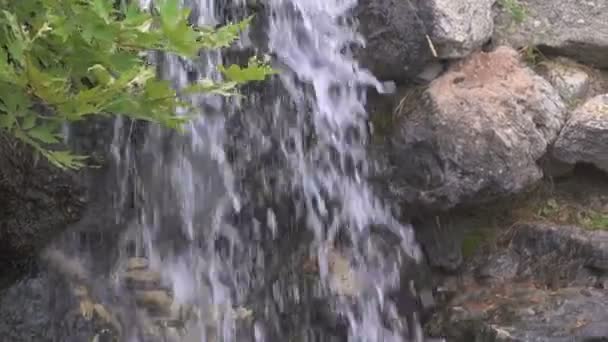 The bottom of a waterfall — Stock Video