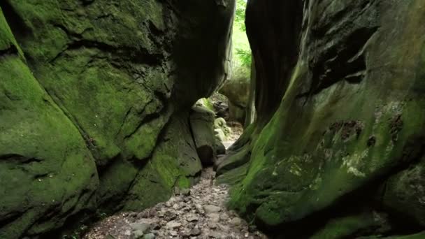 Green Canyon di pegunungan Carpathian — Stok Video