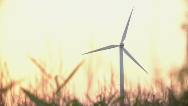 Turbinas eólicas al atardecer, energía verde . — Vídeo de stock