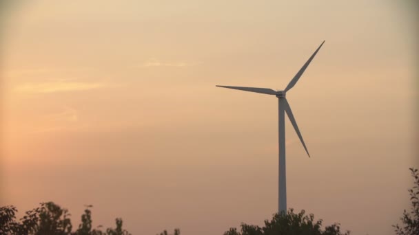 Wind turbines at sunset, green energy. — Stock Video