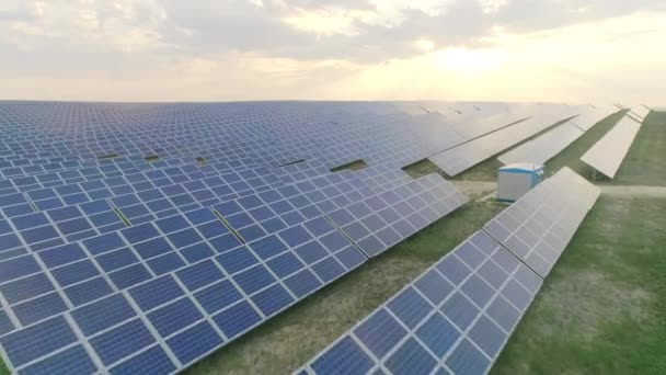 Pohled na ekologii solárních panelů, stojících v řadách v poli. Koncepce zelené obnovitelné energie a budoucí inovace. — Stock video