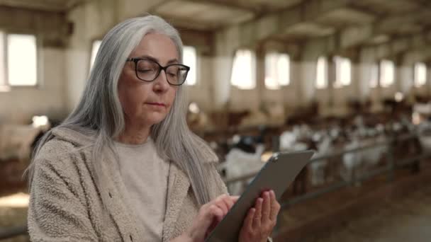 Donna che utilizza tablet mentre l'uomo pulizia capra fattoria — Video Stock