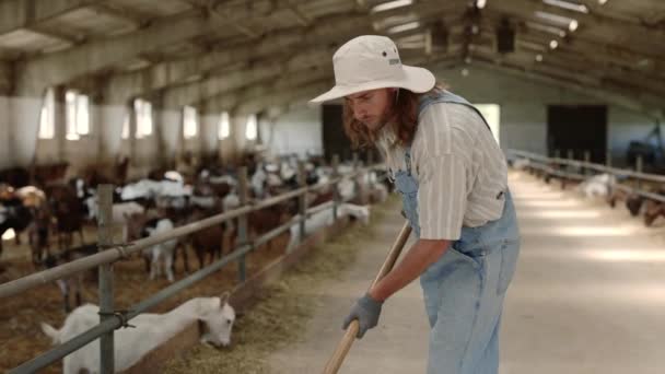 Junger Mann in Overalls putzt mit Schaufel Ziegenfarm — Stockvideo