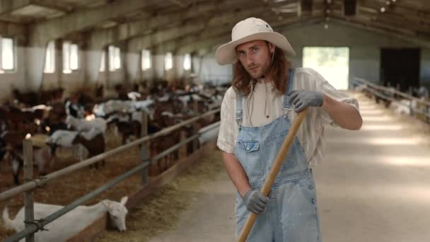 Homme caucasien en salopette et chapeau nettoyage ferme chèvre — Video