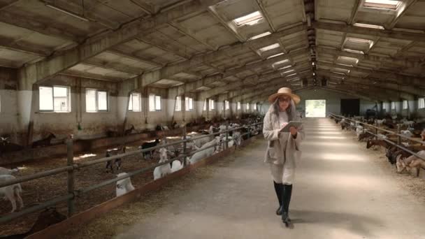 Mujer anciana caminando en granja de cabras con tableta digital en las manos — Vídeo de stock