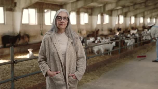 A kecsketelepen dolgozó idős nő és fiatal férfi — Stock videók