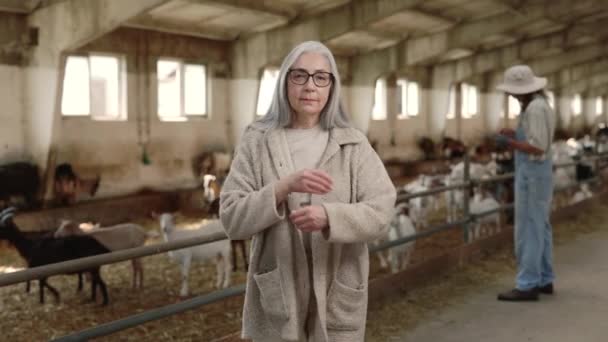 Ältere Frau steht mit verschränkten Armen auf eigenem Ziegenhof — Stockvideo