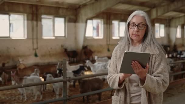 Agradável senhora madura trabalhando em tablet digital na fazenda — Vídeo de Stock