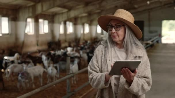 Mulher idosa atraente andando na fazenda de cabras e usando tablet — Vídeo de Stock