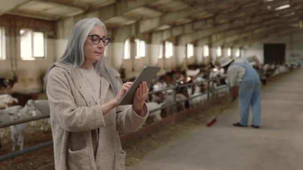 Donna che lavora su tablet mentre l'uomo pulisce fattoria capra — Video Stock