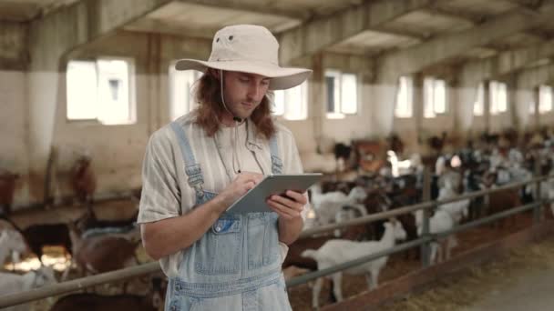 Agricoltore caucasico che lavora su tavoletta nel fienile con capre — Video Stock