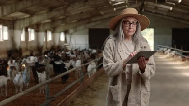 Starsza kobieta spacerująca po farmie kóz z tabletkami w rękach — Wideo stockowe