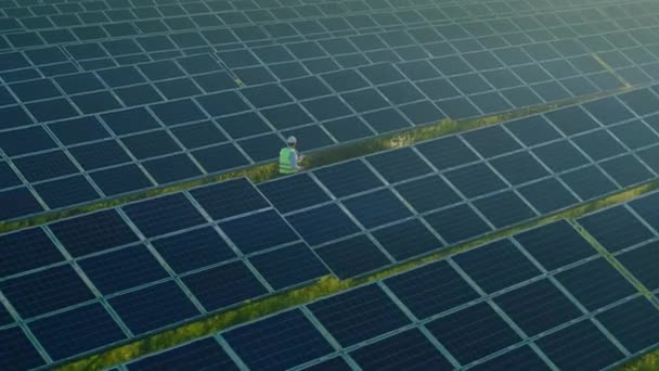 Інженер, який ходить і вивчає сонячні панелі на полі — стокове відео