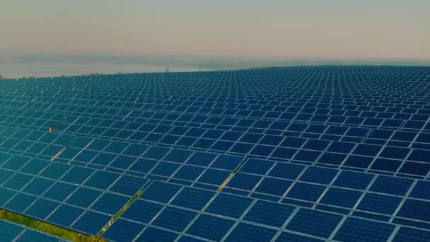 Εκατοντάδες ηλιακοί συλλέκτες τοποθετημένοι σε σειρές στο πεδίο — Αρχείο Βίντεο