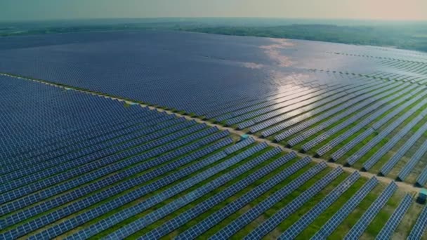 Aerial view of huge field with rows of solar panels — Stock Video