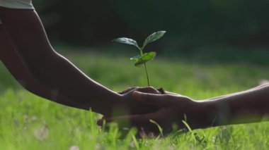 Elinde yeşil filiz tutan çocuklu anne.