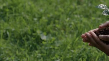 Elinde toprakla filizlenen Afrikalı kadın