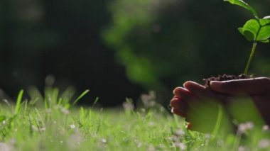 Afrikalı bir kadın elinde küçük bir tohum tutuyor.