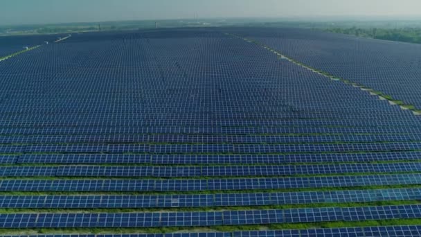 Utsikt från drönare av solpaneler ligger på stort fält — Stockvideo