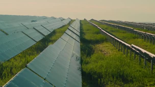 Vista aérea de la estación fotovoltaica dispuesta en campo — Vídeo de stock