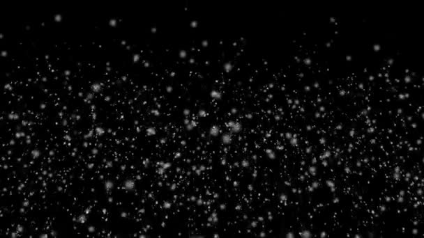 Falling snowflakes, matte — Stock Video