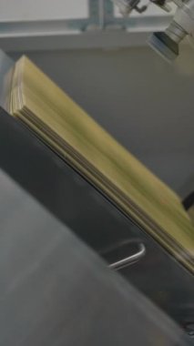 Endüstriyel taşıma sistemi boyunca malzeme taşıyan emme aletli otomatik robotik kol. Hassas otomasyon ve yüksek hız üretim sürecini gösteren modern fabrika makineleri. Dikey çekim