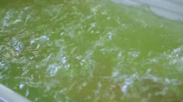 Pęcherzyki w wannie z hydromasażem w zwolnionym tempie — Wideo stockowe
