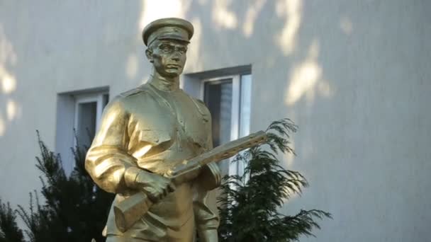 Statue en bronze d'un soldat - garde-frontières avec un fusil . — Video